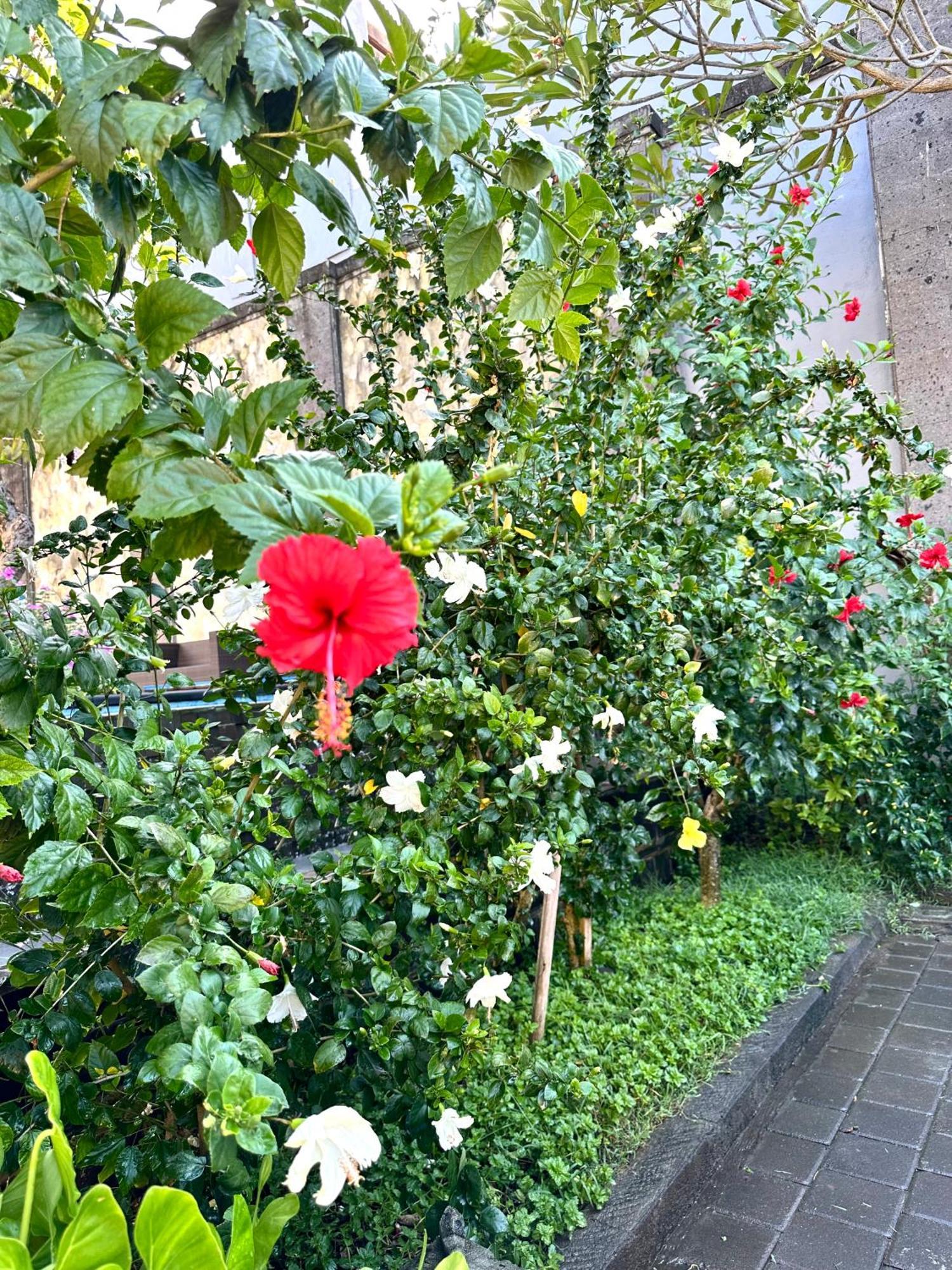 Radha Bali Hotel Kuta Lombok Exterior foto